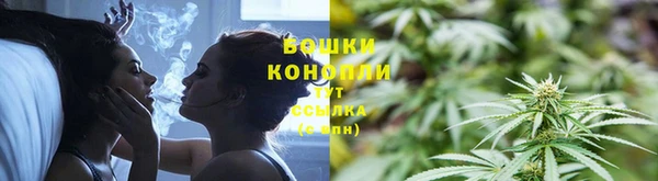 твердый Дмитриев