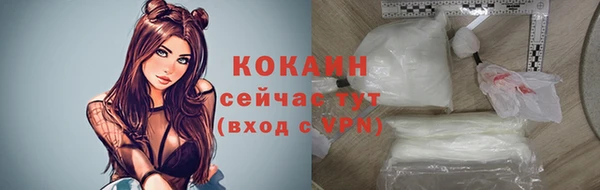 не бодяженный Гусев