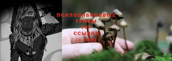 МДМА Дмитровск