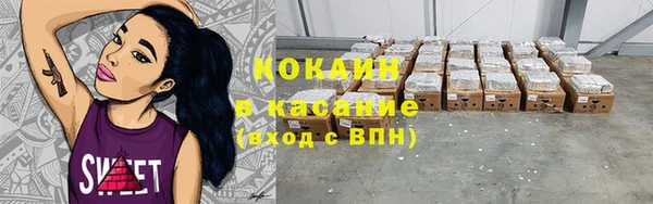 твердый Дмитриев