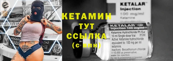твердый Дмитриев